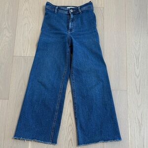 Zara Dark Blue Flare Jeans